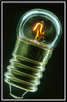 bulb